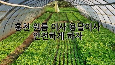 홍천 원룸 이사, 용달이사 안전하게 하자!