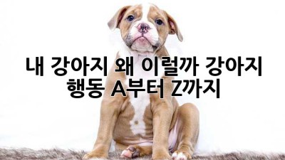 내 강아지, 왜 이럴까? 강아지 행동 A부터 Z까지!
