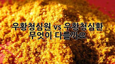 우황청심원 vs 우황청심환: 무엇이 다를까요?